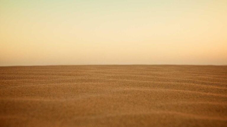 Does 11Xplay Pro New Login App Offer Fingerprint Login?